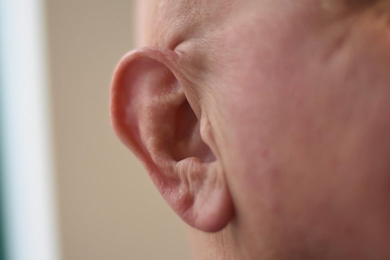 A man's ear.